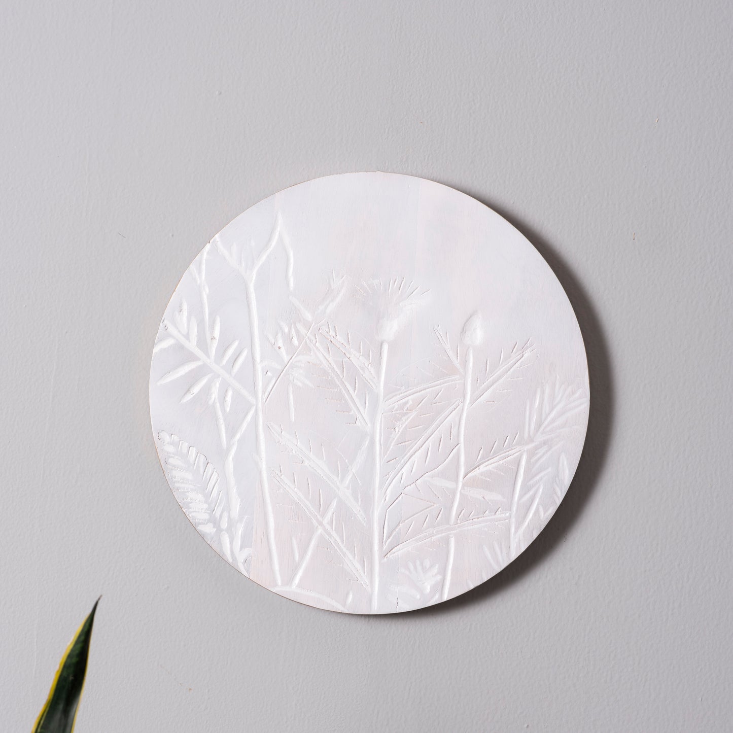 Etched Elegance
