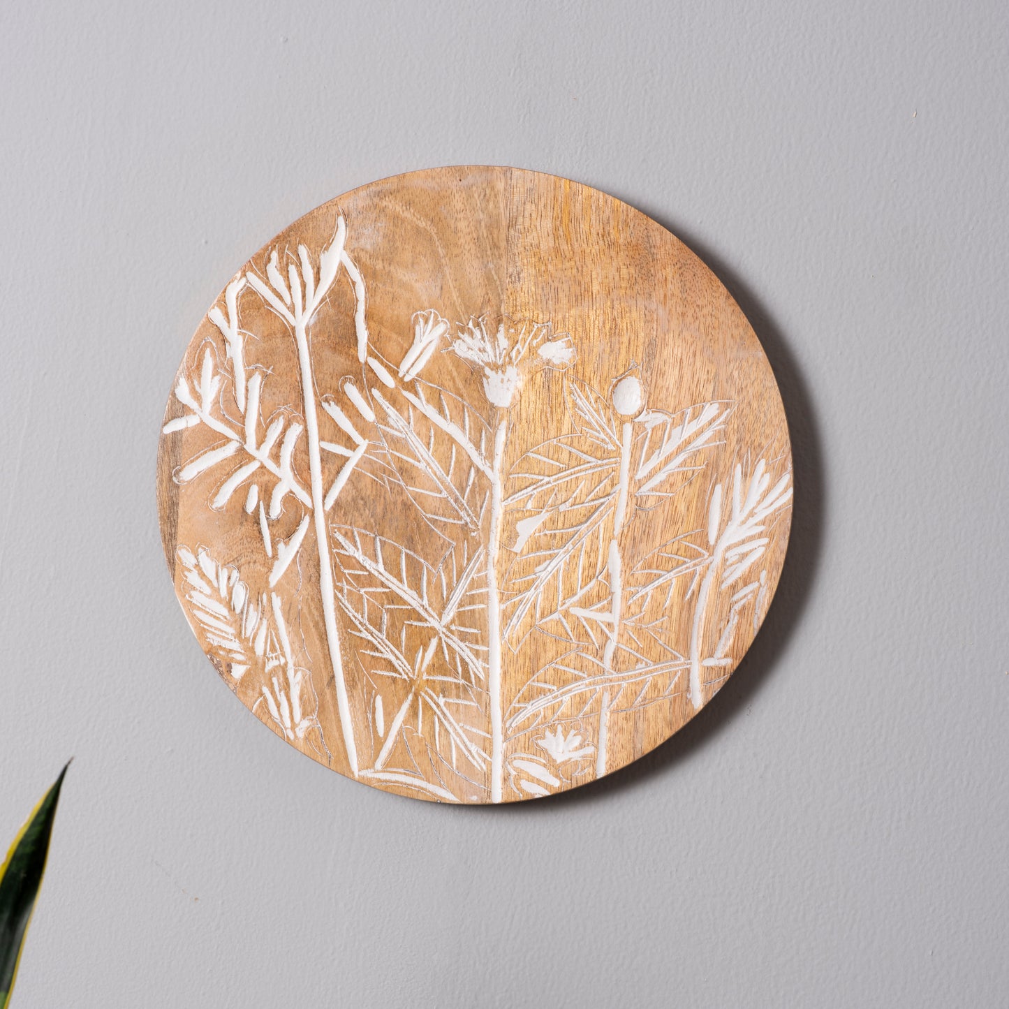 Etched Elegance
